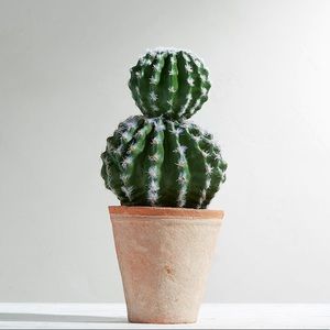 $38 Faux Pottery Barn Double Ball Cactus